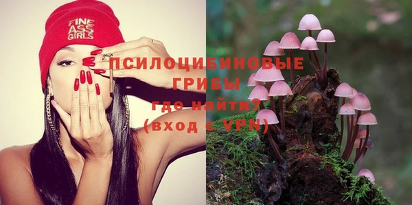 MESCALINE Алзамай