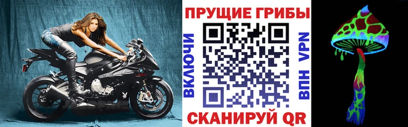 Псилоцибиновые грибы мицелий  наркота  Усолье-Сибирское 